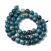 Natural Apatite Beads Strands G-F674-04-8mm-3