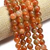 Natural Malaysia Jade Beads Strands G-L645-C01-10mm-29-3