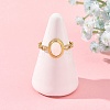 304 Stainless Steel Shell Cuff Open Rings RJEW-JR01111-01-2