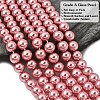 Eco-Friendly Dyed Glass Pearl Round Beads Strands HY-A002-10mm-RB109-4