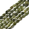 Natural Canadian Jade Beads Strands G-B159-A12-2