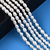 Natural Cultured Freshwater Pearl Beads Strands X1-PEAR-N012-03D-6