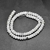 Natural Rainbow Moonstone Beads Strands G-O170-67D-2