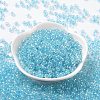 6/0 Glass Seed Beads SEED-T006-04F-03-2