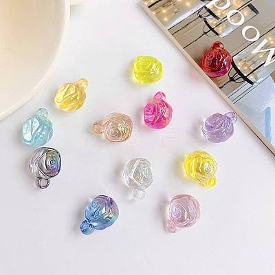 Transparent Acrylic Pendants OACR-E027-02-1