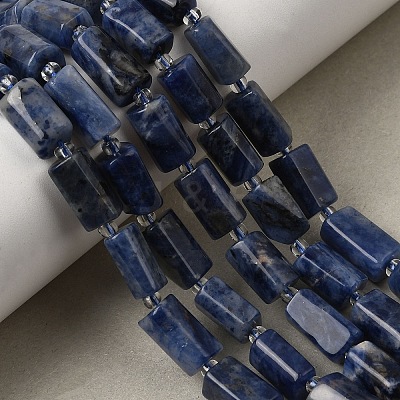 Natural Sodalite Beads Strands GG-CBA56E5-02-1