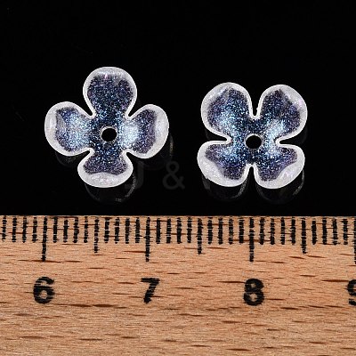 Transparent Acrylic Bead Caps X-OACR-ZX006-20-1
