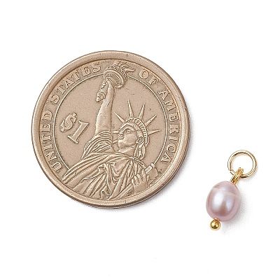 Natural Cultured Freshwater Pearl Rice Charms PALLOY-JF04841-1