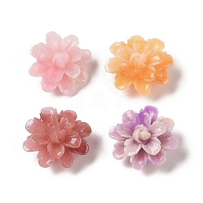 Synthetic Shell Dyed Beads SHEL-C006-01-1