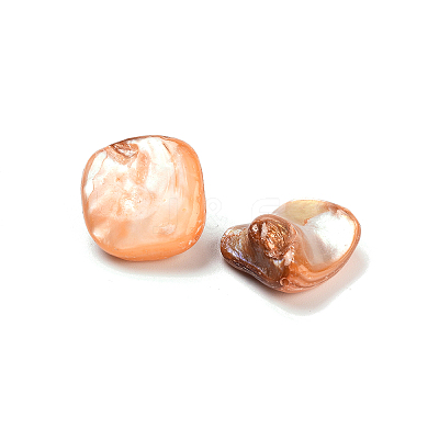 Natural Freshwater Shell Beads BSHE-S028-1