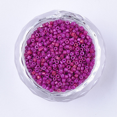 Baking Paint Cylinder Seed Beads SEED-Q036-02A-D10-1