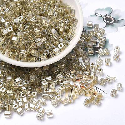 Glass Seed Beads SEED-H002-F-1138-1