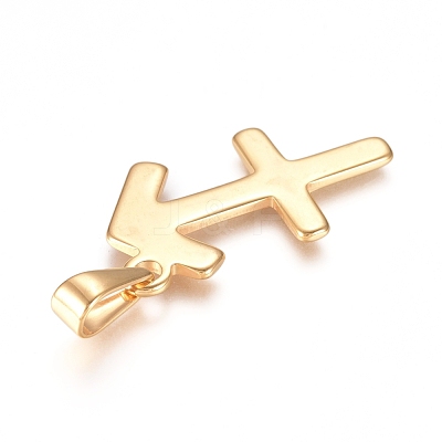 304 Stainless Steel Pendants X1-STAS-L210-06J-G-01-1