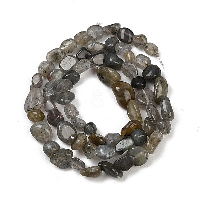 Natural Labradorite Beads Strands G-Q060-D02-1
