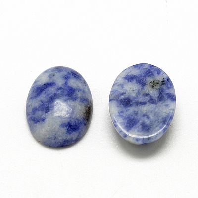 Natural Blue Spot Jasper Cabochons G-R415-14x10-45-1
