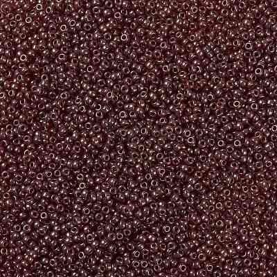 MIYUKI Round Rocailles Beads X-SEED-G008-RR0309-1