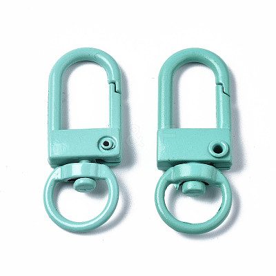 Spray Painted Eco-Friendly Alloy Swivel Snap Hooks Clasps LS-PALLOY-T080-02D-NR-1