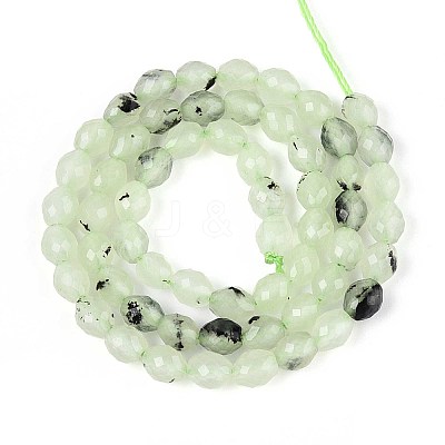 Natural Prehnite Beads Strands G-T142-82-1