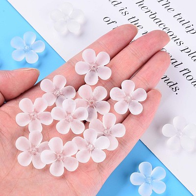 Transparent Acrylic Beads MACR-S373-116-D01-1