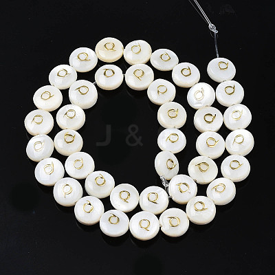 Natural Freshwater Shell Beads SHEL-S276-168Q-1