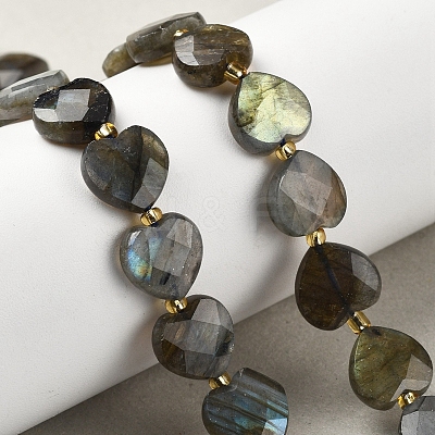 Natural Labradorite Beads Strands G-B044-B21-01-1