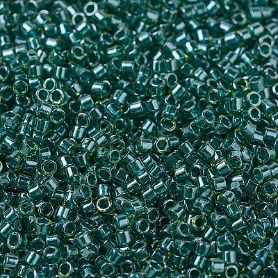MIYUKI Delica Beads SEED-J020-DB0919-1