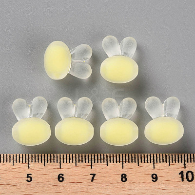 Transparent Acrylic Beads TACR-S152-12C-SS2105-1