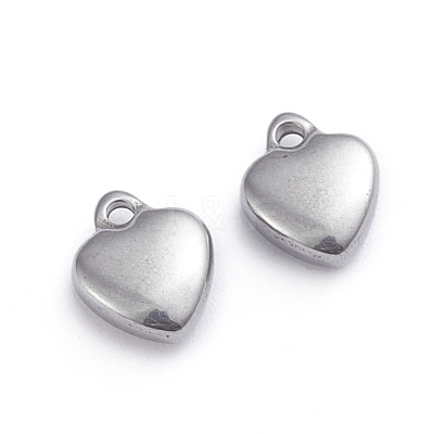 Non-Tarnish 304 Stainless Steel Charms STAS-G236-01P-B-1