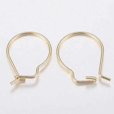 304 Stainless Steel Hoop Earring Findings LS-X-STAS-H436-02-1