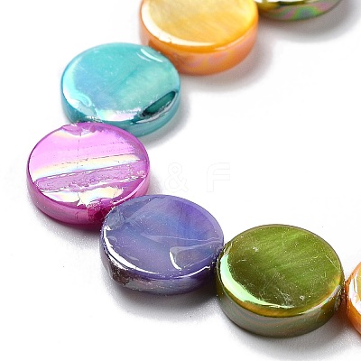 Natural Freshwater Shell Beads Strands SHEL-D082-15A-1