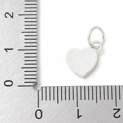 S925 Sterling Silver Pendant LS-STER-H115-05B-S01-1