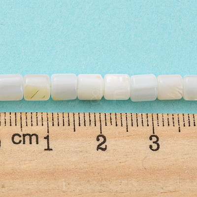 Natural Freshwater Shell Beads Strands SHEL-F008-04A-1