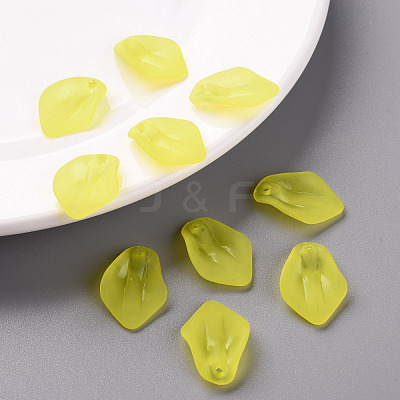 Transparent Frosted Acrylic Pendants MACR-S371-03A-717-1
