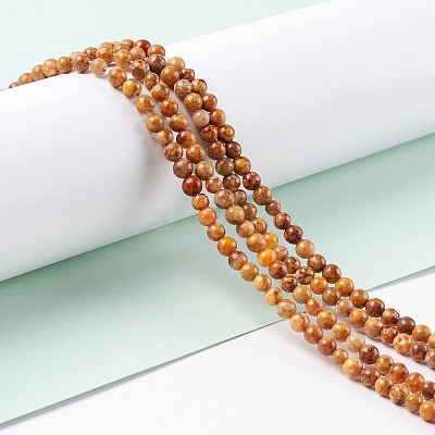 Natural Maifanite/Maifan Stone Beads Strands G-P451-01C-C-1