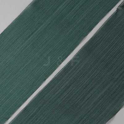 Polyester Ribbon OCOR-WH20017-07C-1