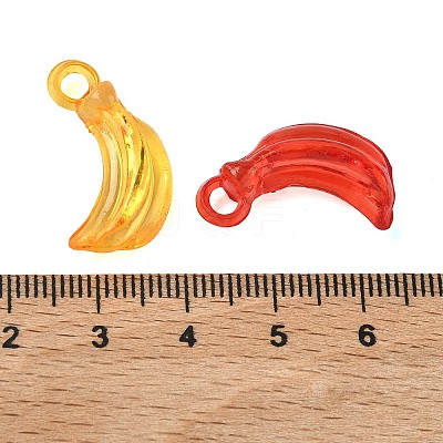 Transparent Acrylic Pendants OACR-Z037-05-1