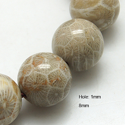 Natural Fossil Coral Beads Strands G-G212-8mm-31-1