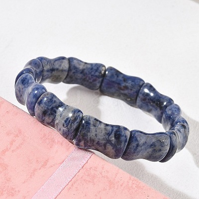 Bamboo Natural Sodalite Beads Stretch Bracelets for Women Men BJEW-K304-01E-1