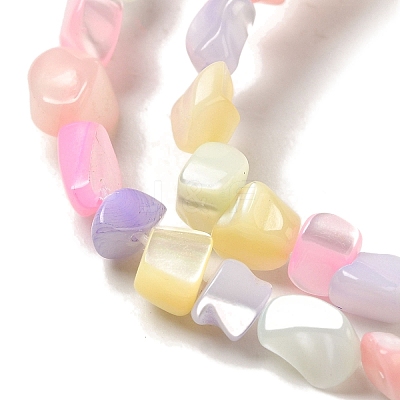 Rainbow Color Dyed Natural Freshwater Shell Beads Strands SHEL-G018-02E-1