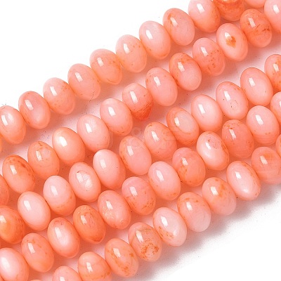 Natural Freshwater Shell Beads Strands SSHEL-C013-07A-1
