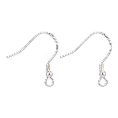 925 Sterling Silver Earring Hooks STER-M031-02S-1