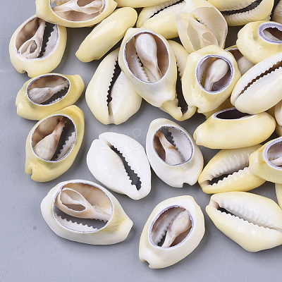 Natural Cowrie Shell Beads X-SSHEL-N034-28-1