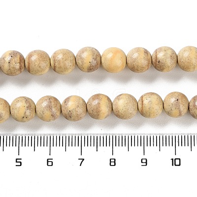 Natural Rainbow Alashan Agate Beads Strands G-NH0022-A06-02-1