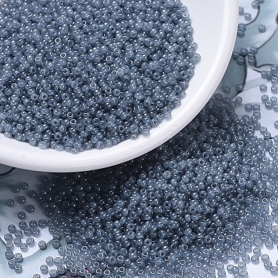 MIYUKI Round Rocailles Beads X-SEED-G007-RR2378-1