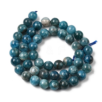 Natural Apatite Beads Strands G-F674-04-8mm-1
