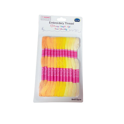 12 Skeins 12 Colors 6-Ply Polyester Embroidery Floss PW-WG76902-04-1