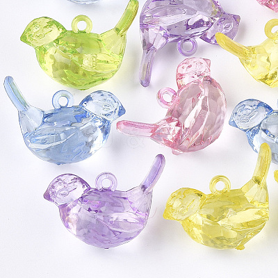 Transparent Acrylic Pendants TACR-S133-028-1