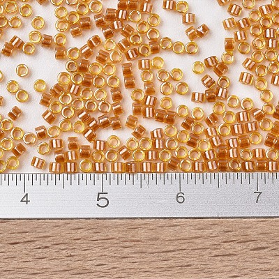 MIYUKI Delica Beads SEED-J020-DB1702-1