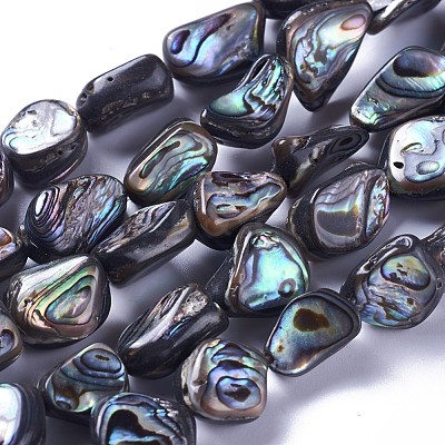 Natural Abalone Shell/Paua Shell Beads Strands SSHEL-F303-08B-1