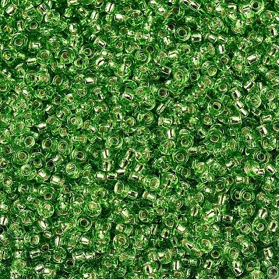 MIYUKI Round Rocailles Beads X-SEED-G007-RR2423-1